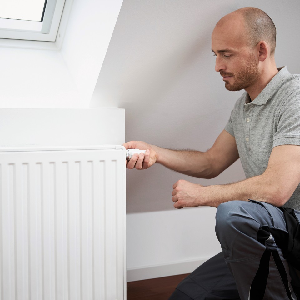 Home advice | Vaillant
