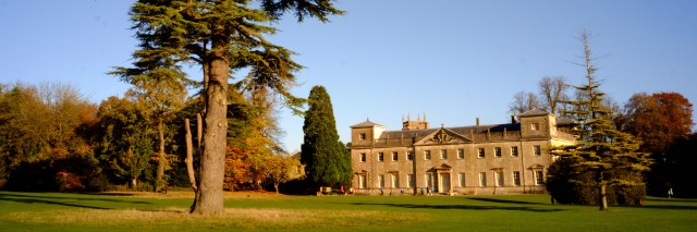 Large stately home with a large tree, grass and blue sky