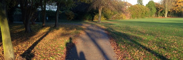 Autumn day in a park with golden leaves on the ground and a shadow of two people walking