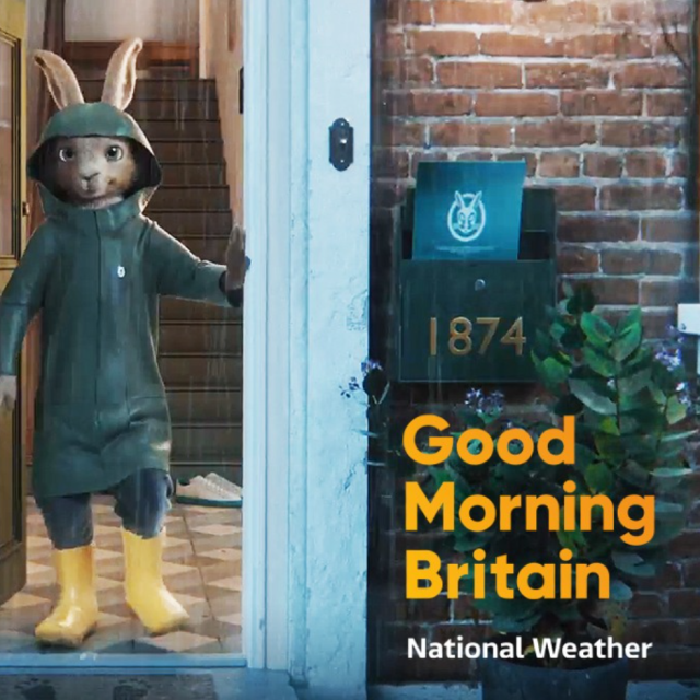 Meet The Vaillant Hare