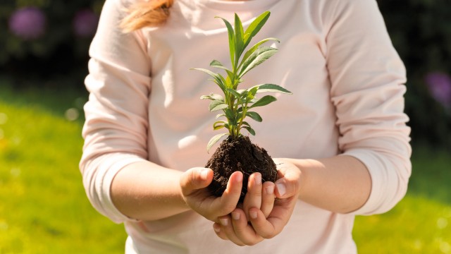a little girl holding a plant in her hands