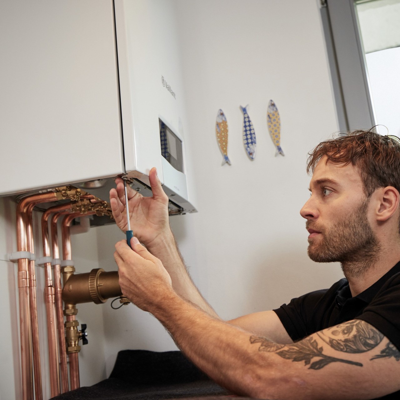 What do I do if my boiler had no pressure Vaillant