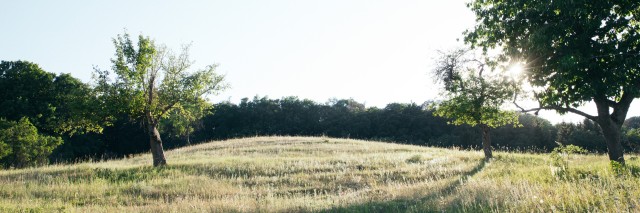 landscape image of hills and trees with the sun shining in the background