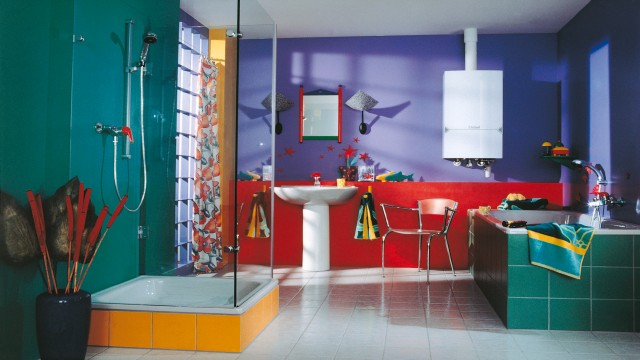 old Vaillant photo