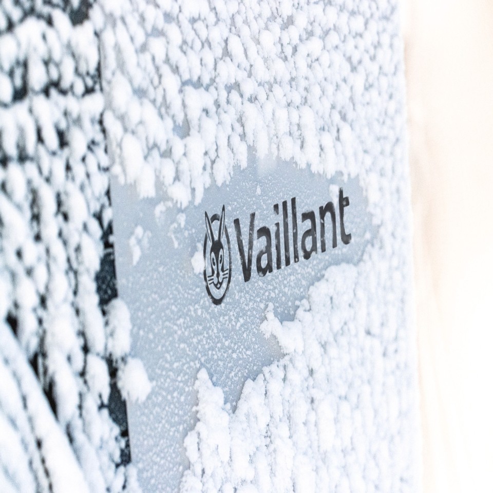 Advice and Knowledge | Vaillant